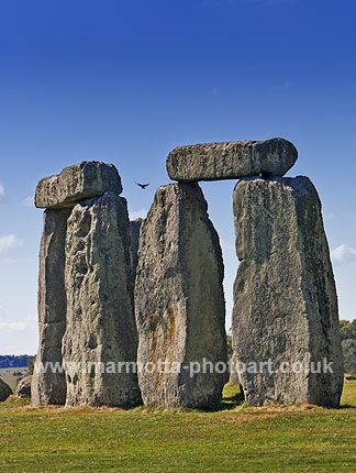 Click to See Next Image