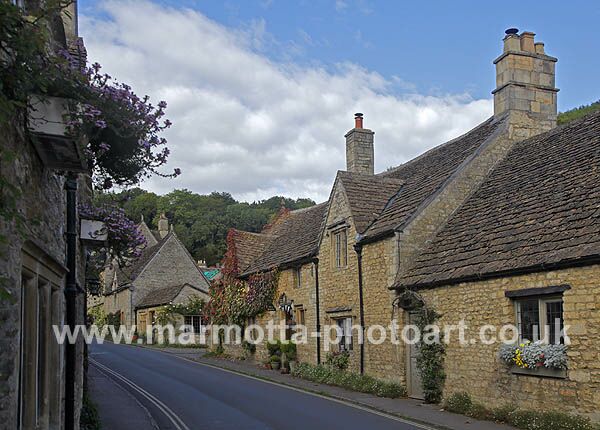 Click to See Next Image