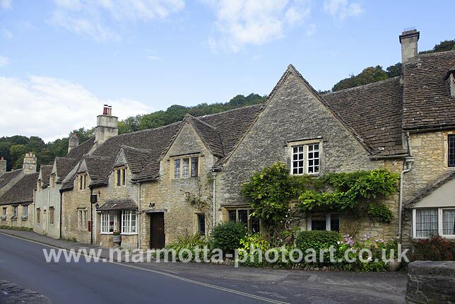 Click to See Next Image