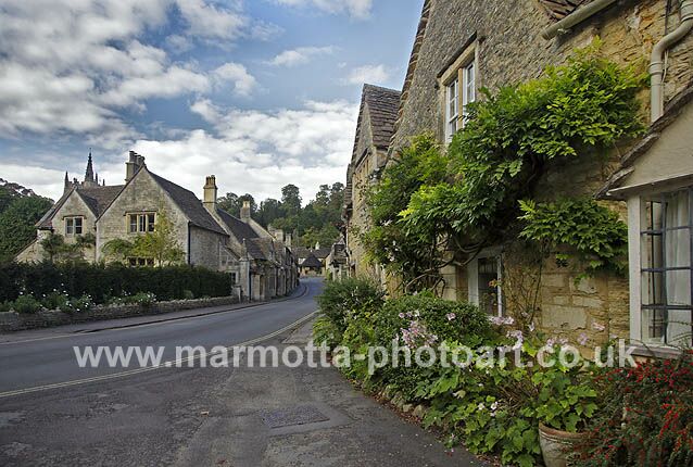 Click to See Next Image