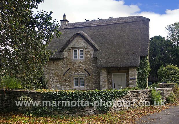 Click to See Next Image