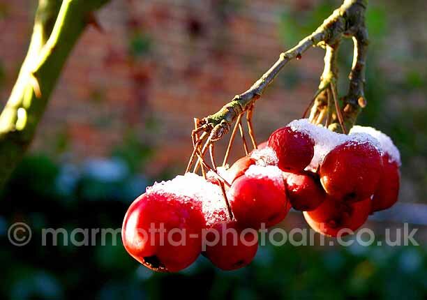 Click to See Next Image