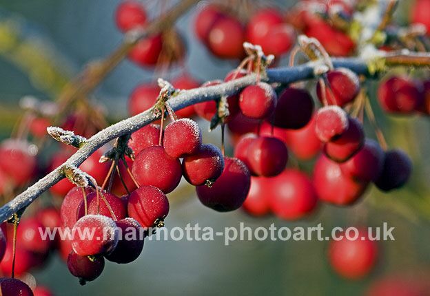 Click to See Next Image