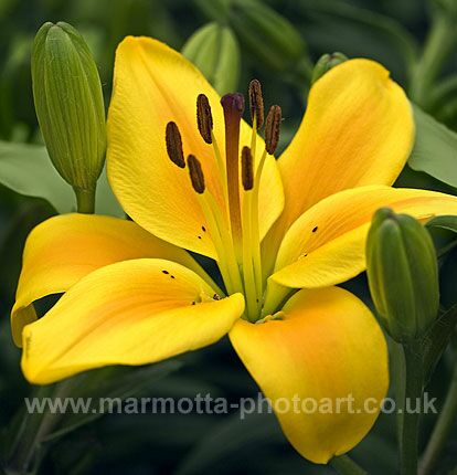 Click to See Next Image