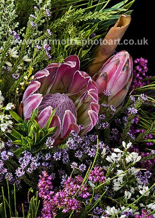 Click to See Next Image