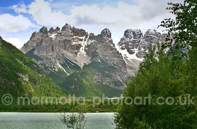 Click to See Next Image