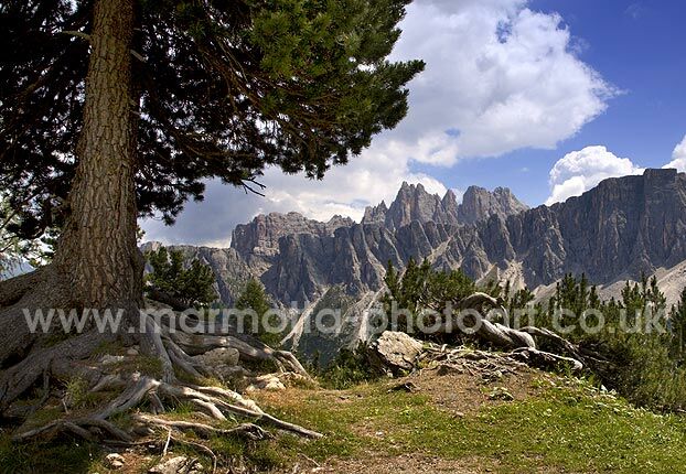 Click to See Next Image