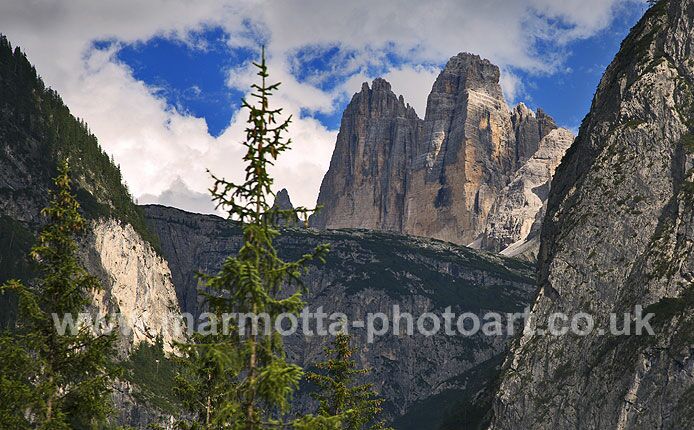 Click to See Next Image