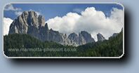 Click to Enlarge