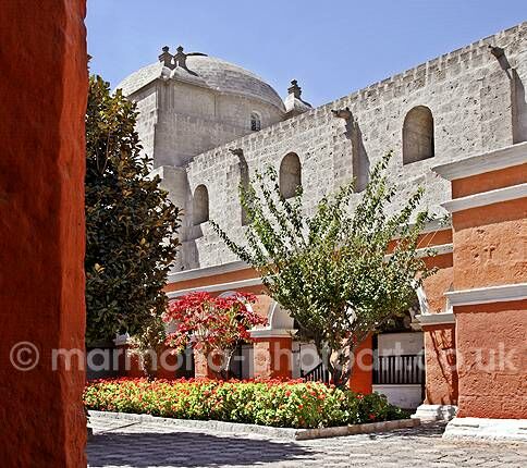 Click to See Next Image