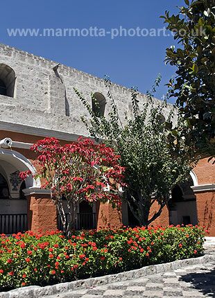 Click to See Next Image