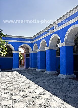 Click to See Next Image