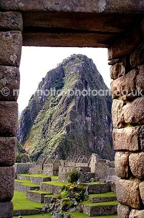 Click to See Next Image