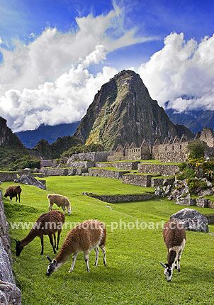 Click to See Next Image