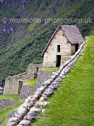 Click to See Next Image