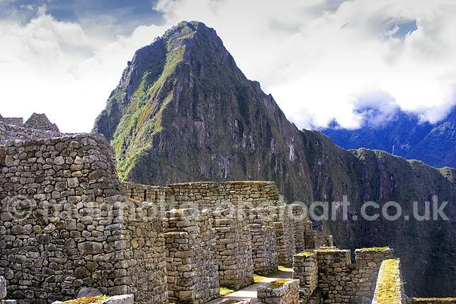 Click to See Next Image