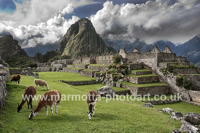 Click to See Next Image