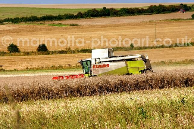 Click to See Next Image