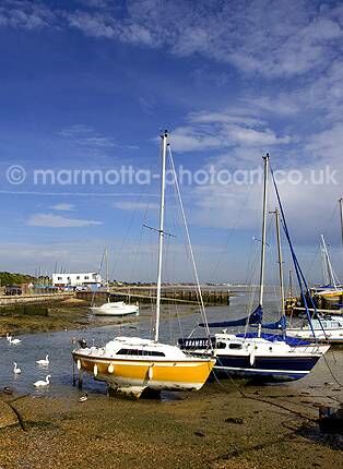 Click to See Next Image