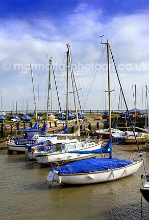 Click to See Next Image