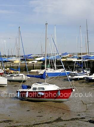 Click to See Next Image