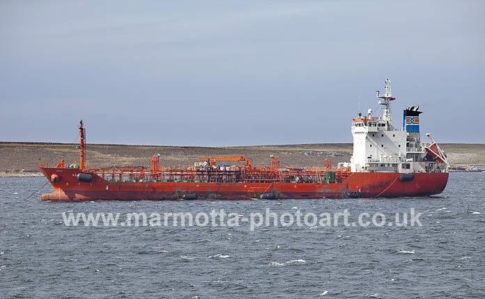 Click to See Next Image