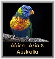 Africa, Asia & Australia